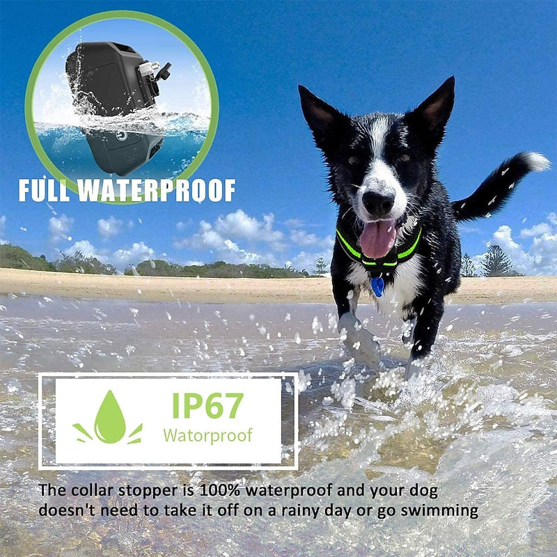Collier anti aboiement pour chien Stop aboiement Collier anti aboiement rechargeable Collier anti aboiement Beep Shock Dog Training Device avec 7 niveaux de sensibilité réglables