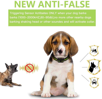 Collier anti aboiement pour chien Stop aboiement Collier anti aboiement rechargeable Collier anti aboiement Beep Shock Dog Training Device avec 7 niveaux de sensibilité réglables