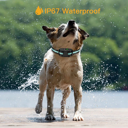 Collier de dressage pour chien sans chocs, rechargeable et étanche IPX7 Collier de dressage pour chien à vibrations et bips